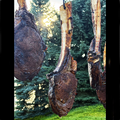 Wagyu Tomahawk Cut Ribeye Steak